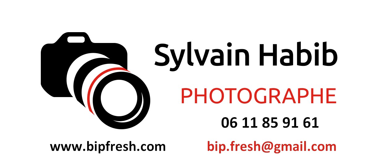 Sylvain Habib logo v4.jpg